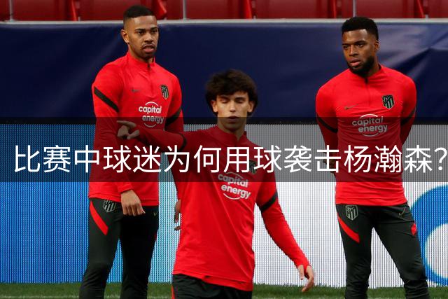 比赛中球迷为何用球袭击杨瀚森？肇事者身份引热议